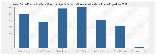 Répartition par âge de la population masculine de La Roche-Rigault en 2007